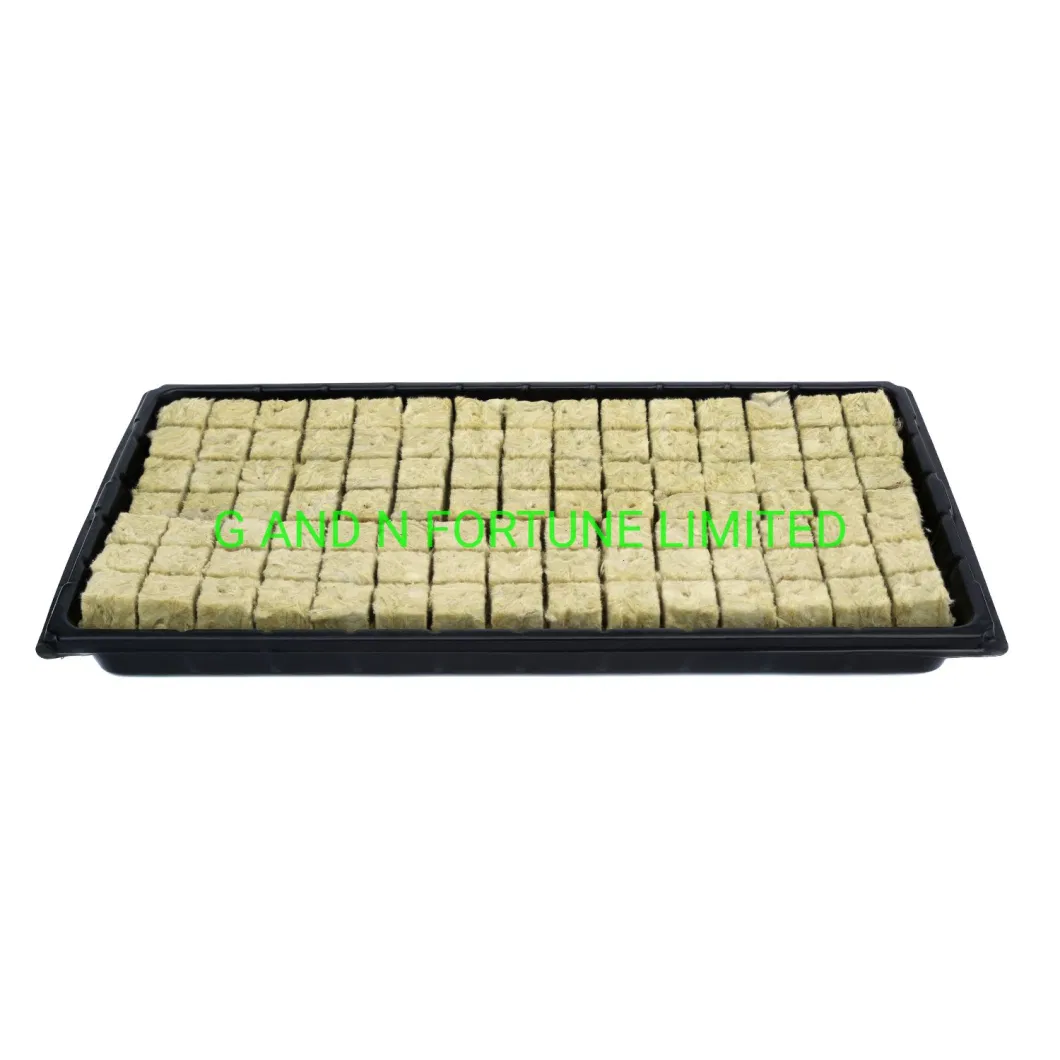 Widely Used Black Plastic Rice Seedling 128 Cells Trays Plant Nursery Trays for Agriculture/Greenhouse/Farm/Garden