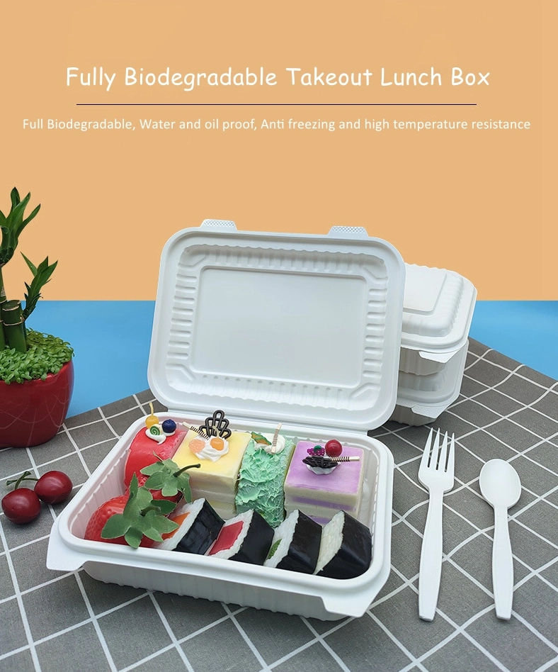 Wholesale Western Cuisine Hamburg Salad Folding Plastic Starch-Based PLA Pbat Takeout Food Biodegradable Disposable Lunch Container Box