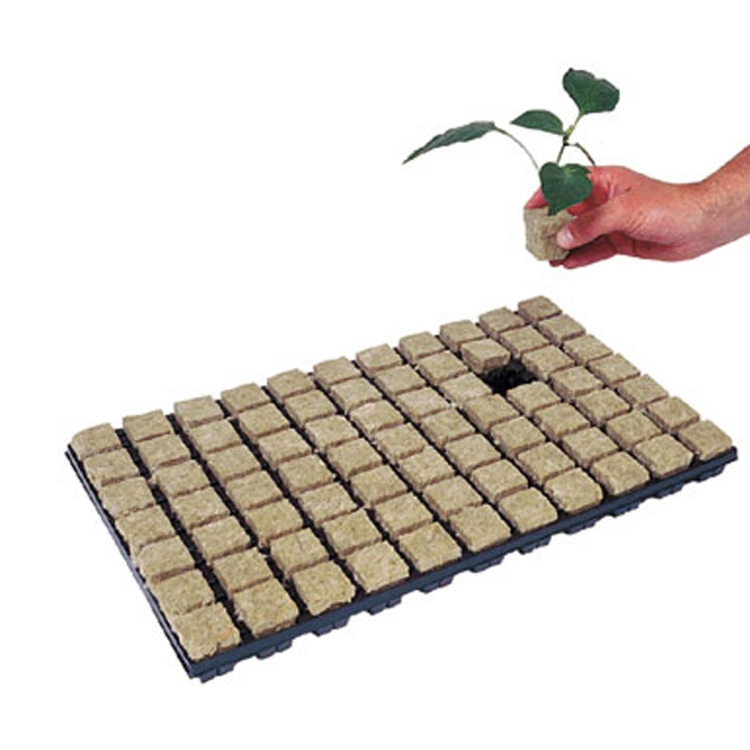Skyplant Hard Plastic Rice Seedling Tray 200cell