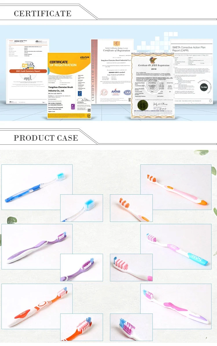 OEM Welcomed Adult Manual Toothbrush with Gum Massage