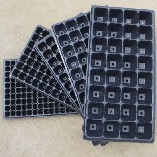 Skyplant Hard Plastic Rice Seedling Tray 200cell