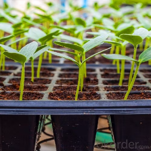 Widely Used Black Plastic Rice Seedling 128 Cells Trays Plant Nursery Trays for Agriculture/Greenhouse/Farm/Garden